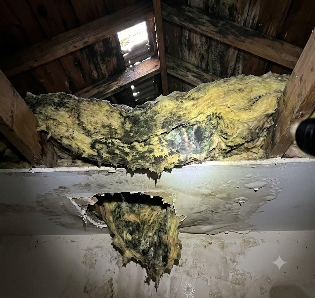 Mold After Roof or Storm Damage