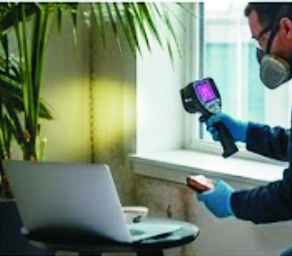 Mold Inspection Philadelphia