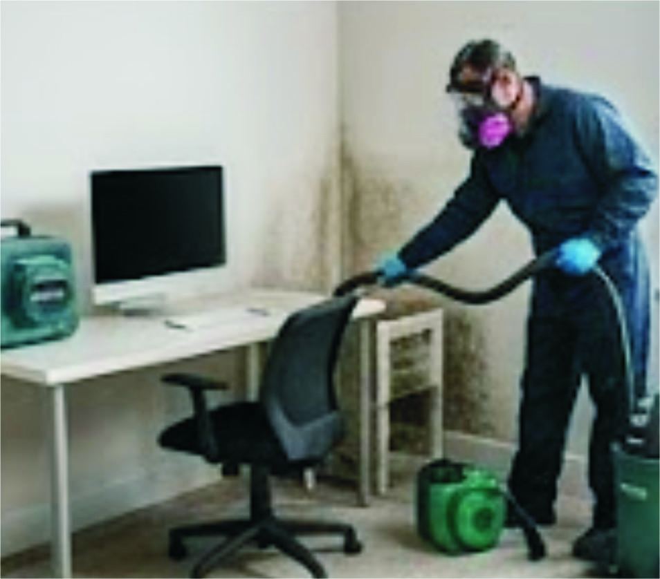 Mold Removal Philadelphia
