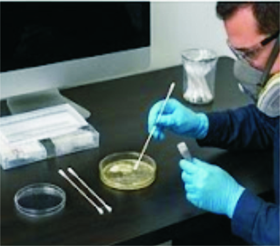Mold Testing Philadelphia