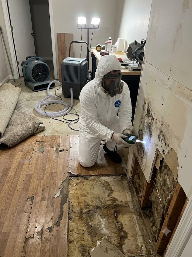Black Mold Remediation Philadelphia After Water Damage
